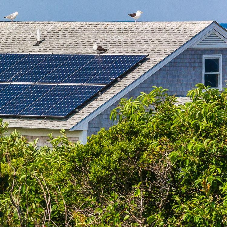 roof top solar panels with vegetation in the foreground
